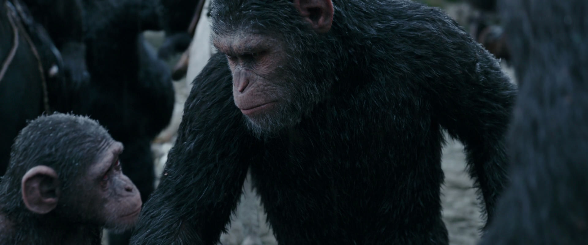 War for the Planet of the Apes (2017) screencap 2838