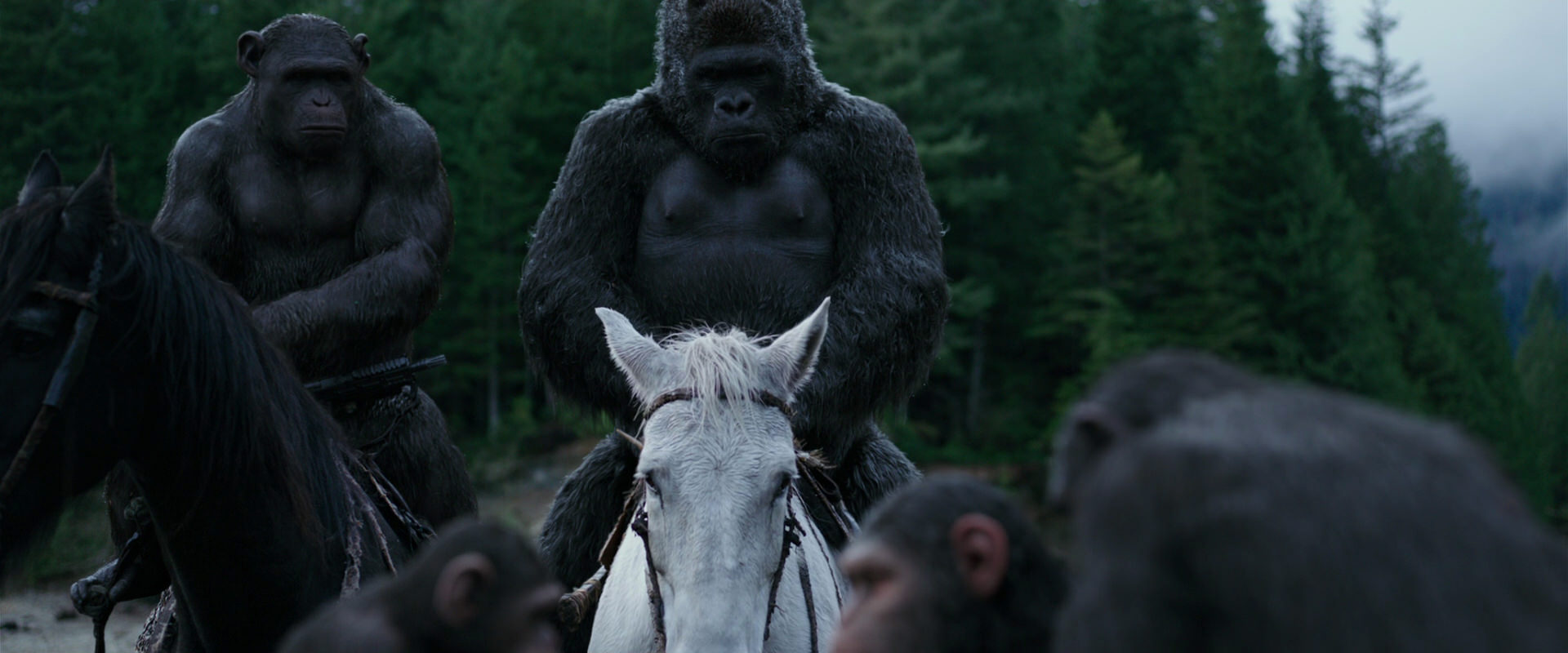 War for the Planet of the Apes (2017) movie still 2842