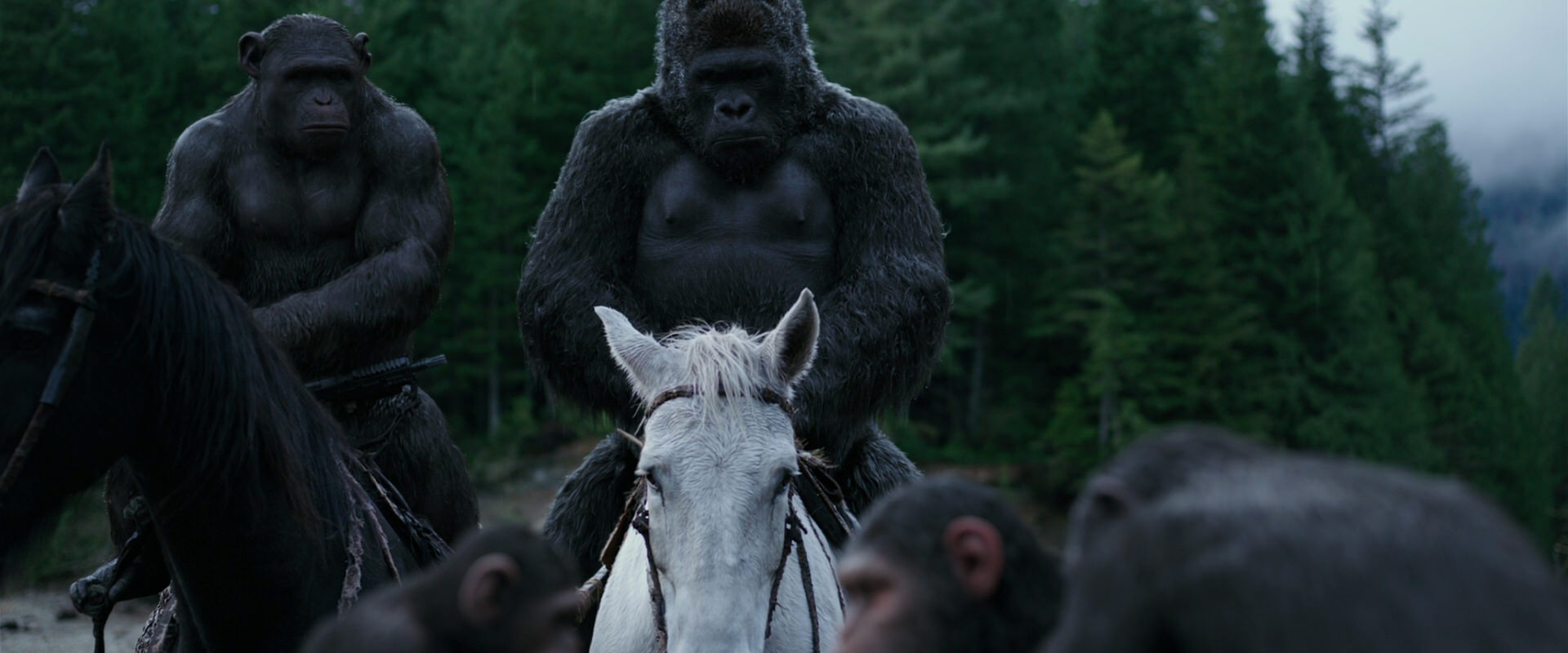 War for the Planet of the Apes (2017) HD screenshot 2843