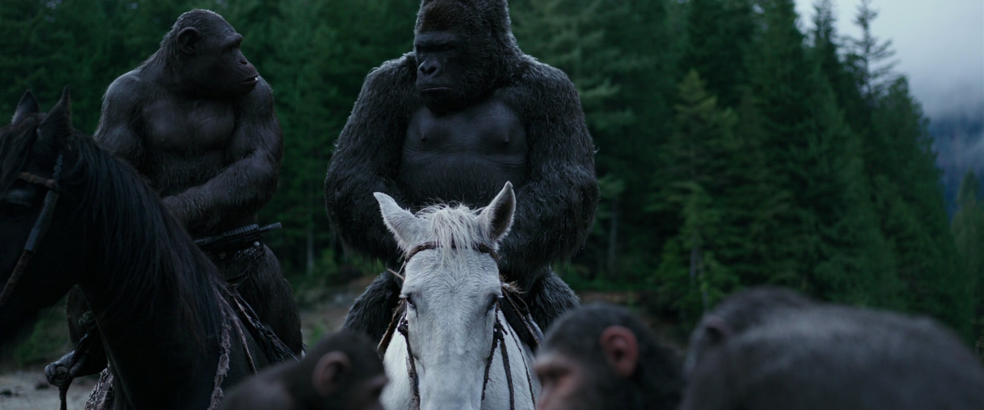 War for the Planet of the Apes (2017) screencap 2844