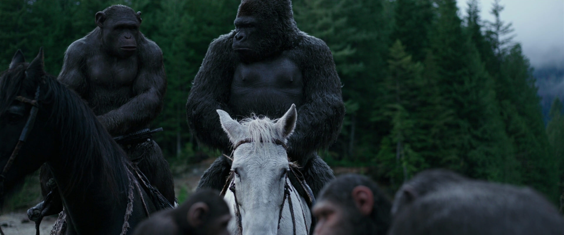 War for the Planet of the Apes (2017) movie still 2845