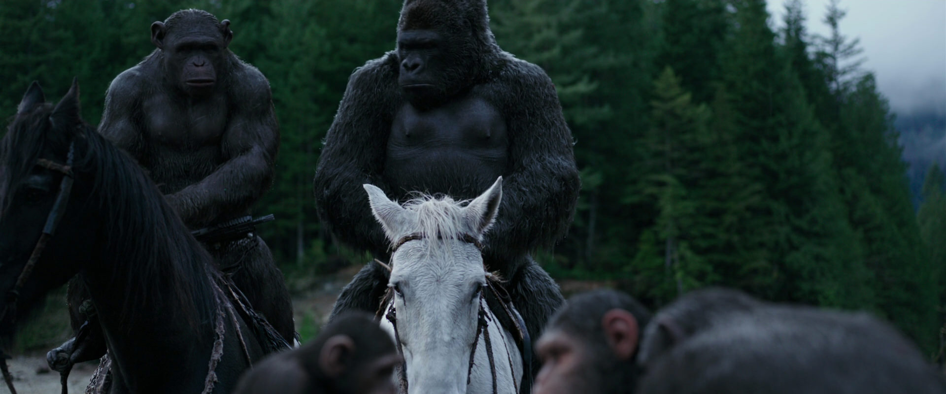 War for the Planet of the Apes (2017) HD screenshot 2846