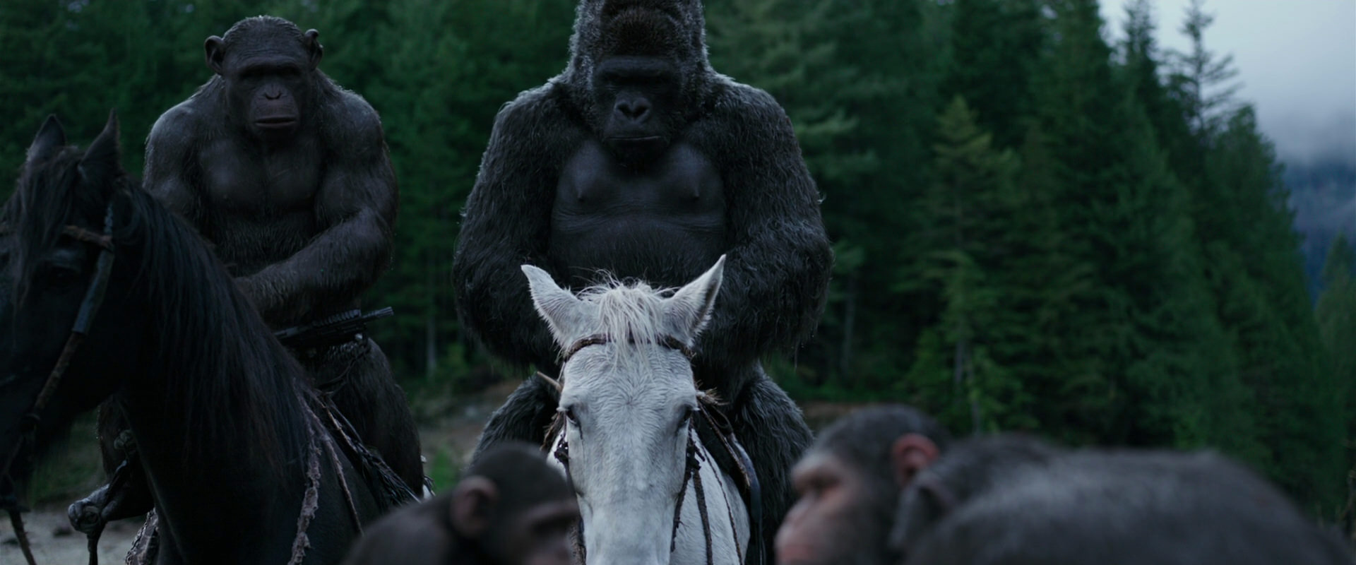 War for the Planet of the Apes (2017) screencap 2847