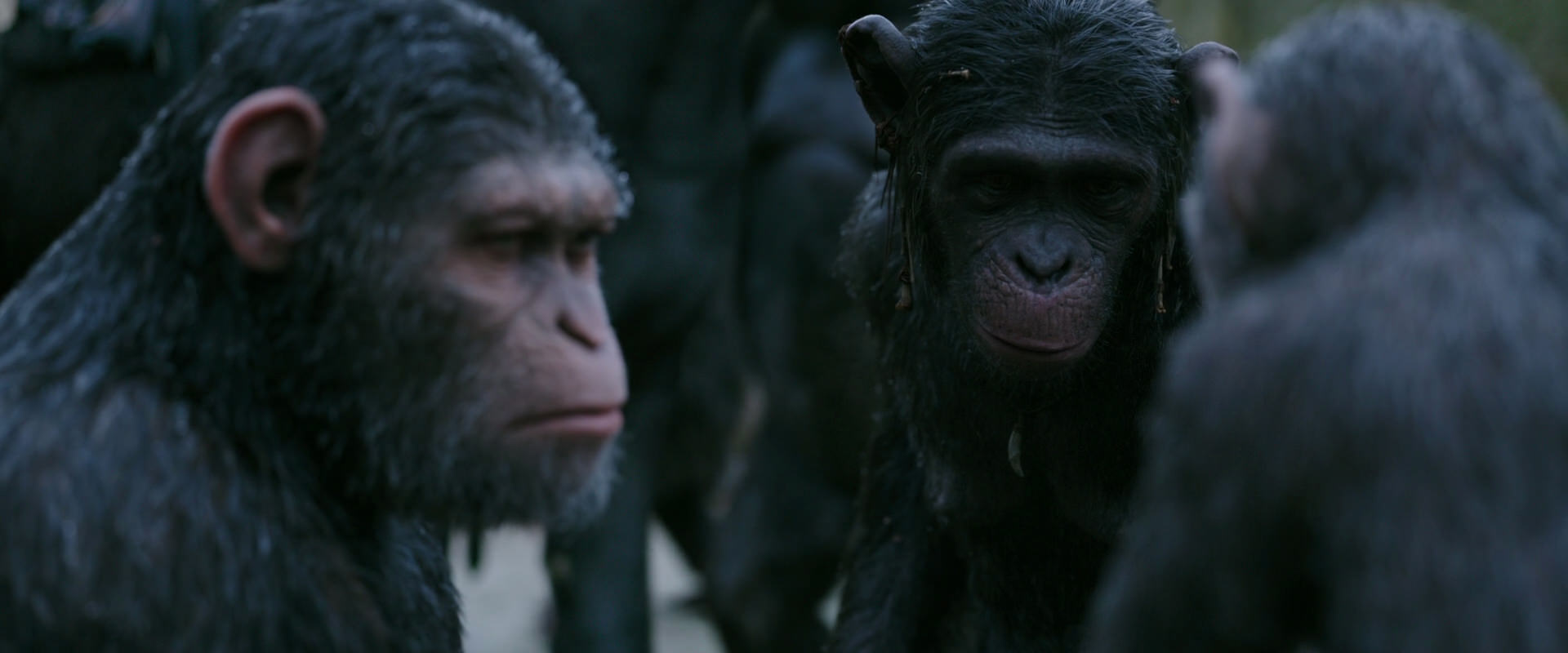 War for the Planet of the Apes (2017) HD screenshot 2849