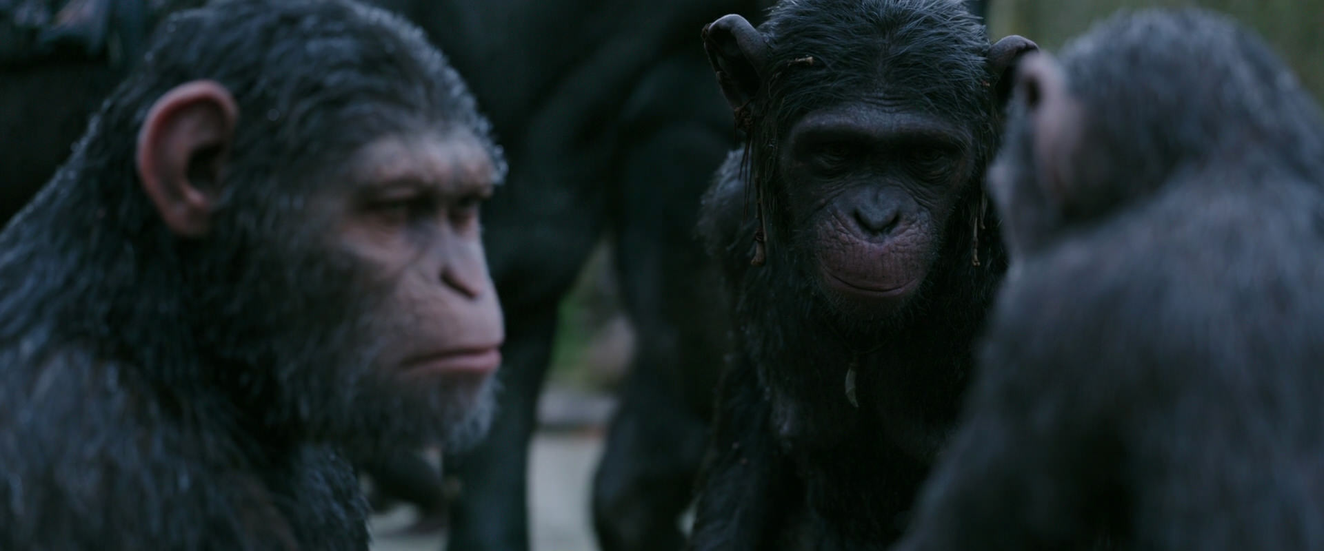 War for the Planet of the Apes (2017) screencap 2850