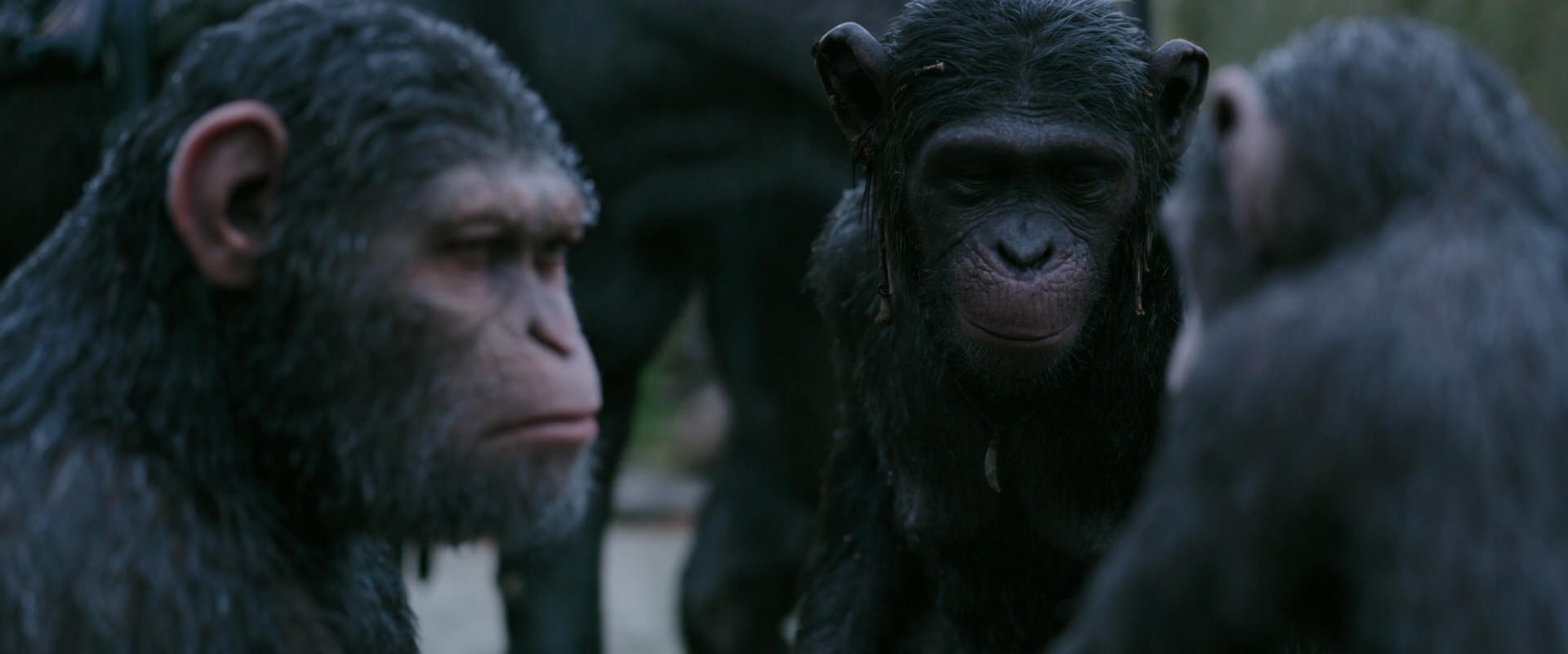 War for the Planet of the Apes (2017) movie still 2851