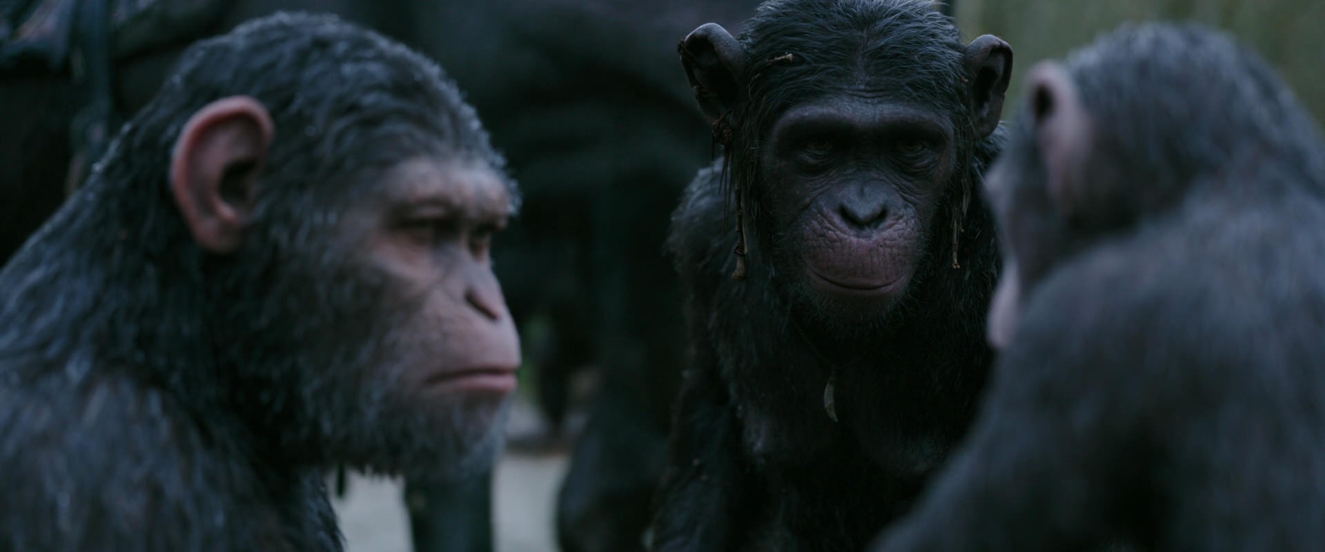 War for the Planet of the Apes (2017) HD screenshot 2852