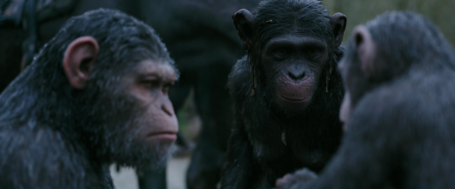 War for the Planet of the Apes (2017) screencap 2853