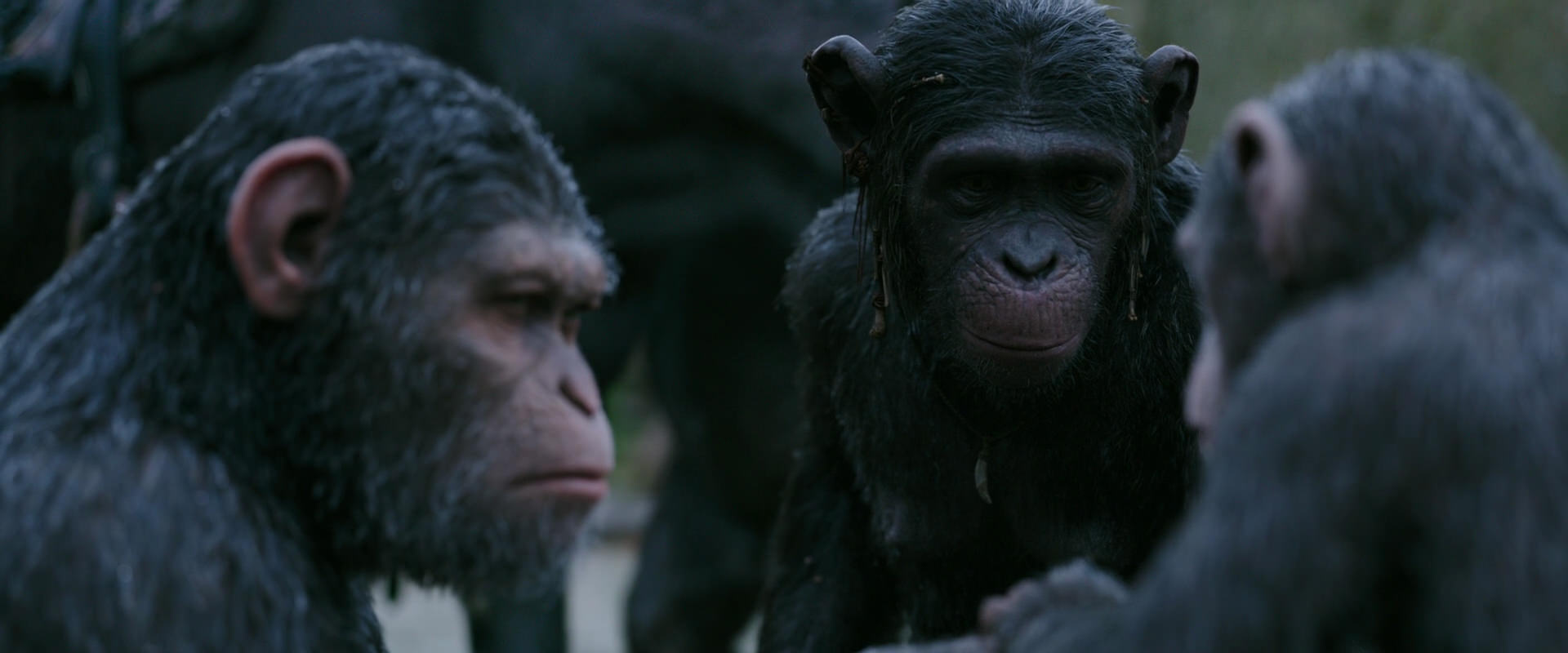 War for the Planet of the Apes (2017) movie still 2854