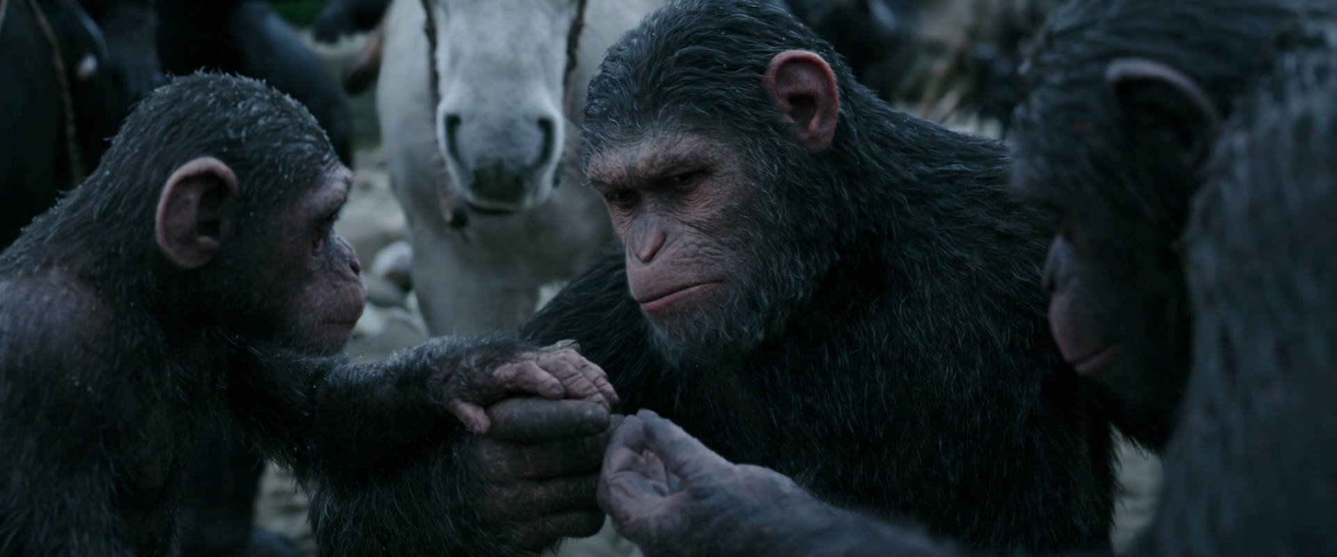 War for the Planet of the Apes (2017) screencap 2856