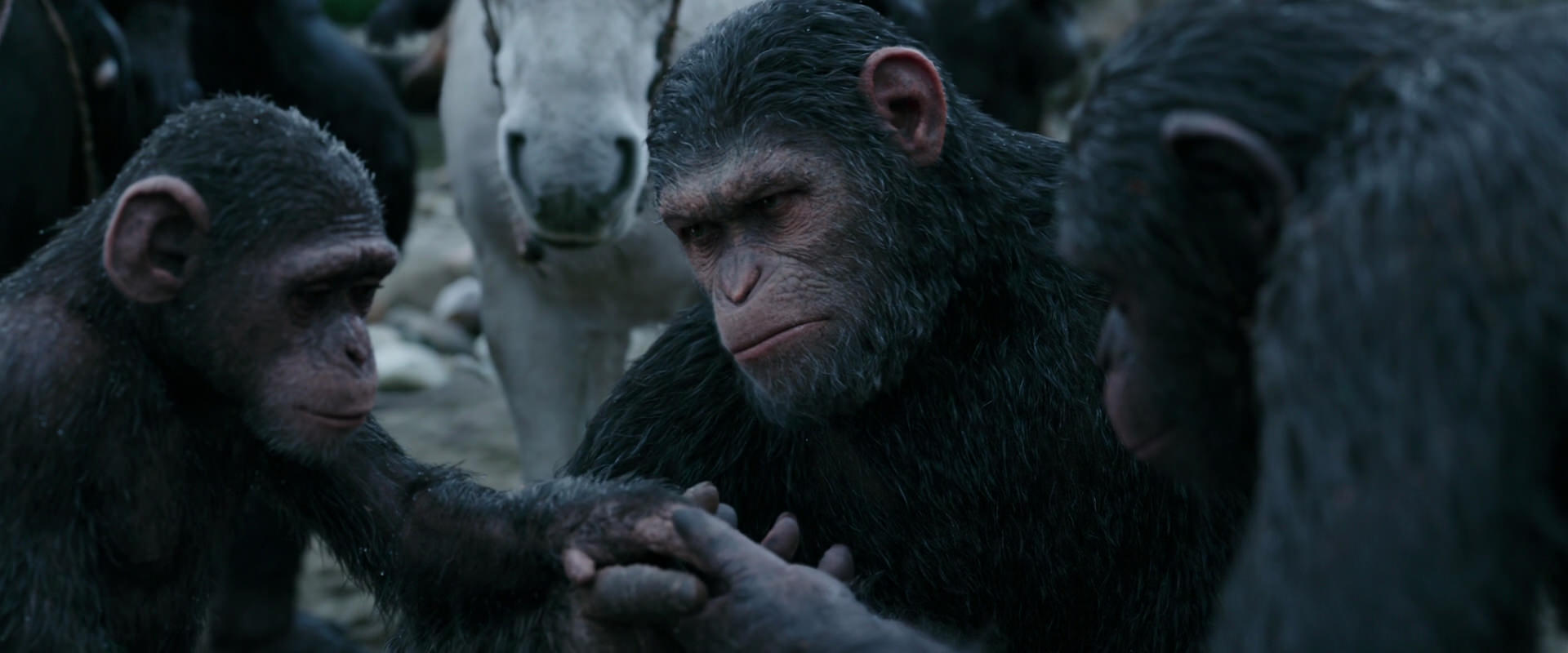 War for the Planet of the Apes (2017) screencap 2859