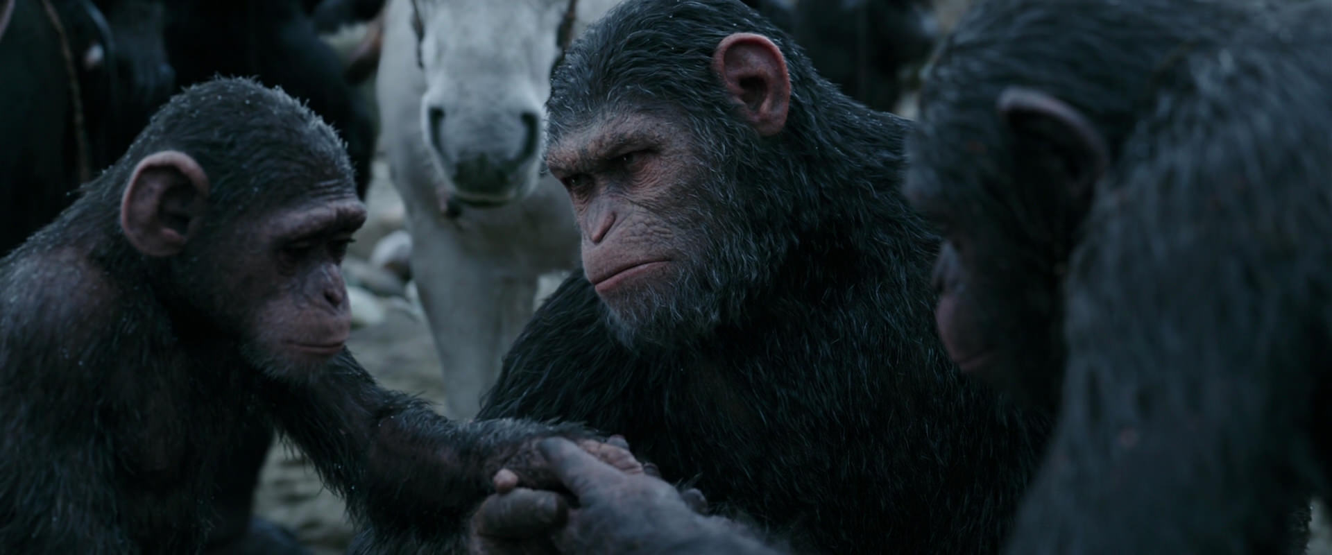 War for the Planet of the Apes (2017) movie still 2860