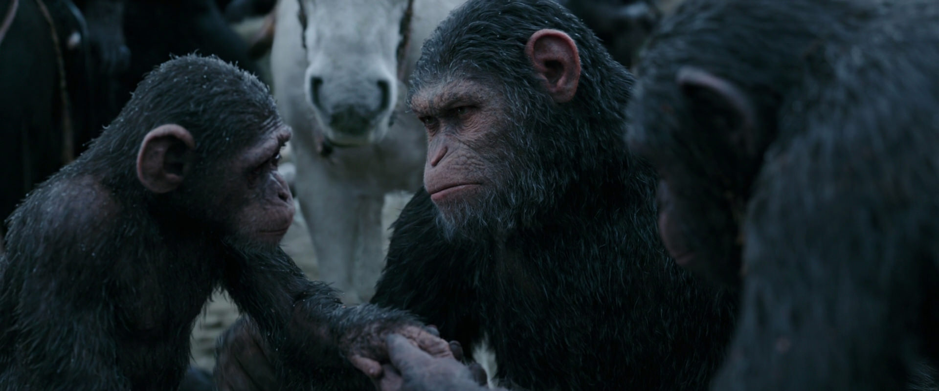 War for the Planet of the Apes (2017) screencap 2862