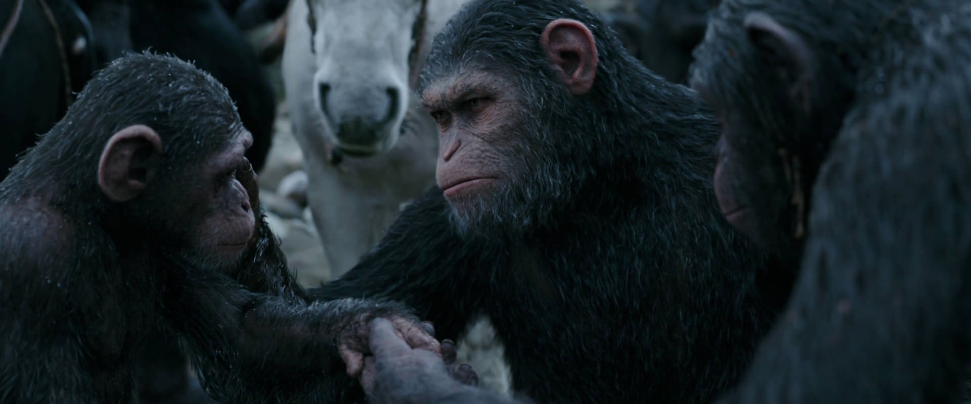 War for the Planet of the Apes (2017) screencap 2865