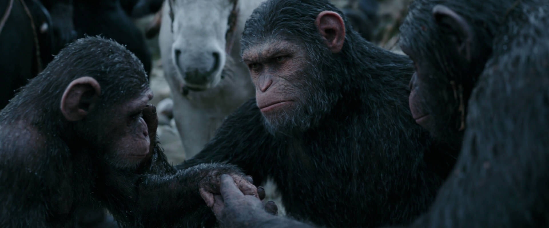 War for the Planet of the Apes (2017) HD screenshot 2867