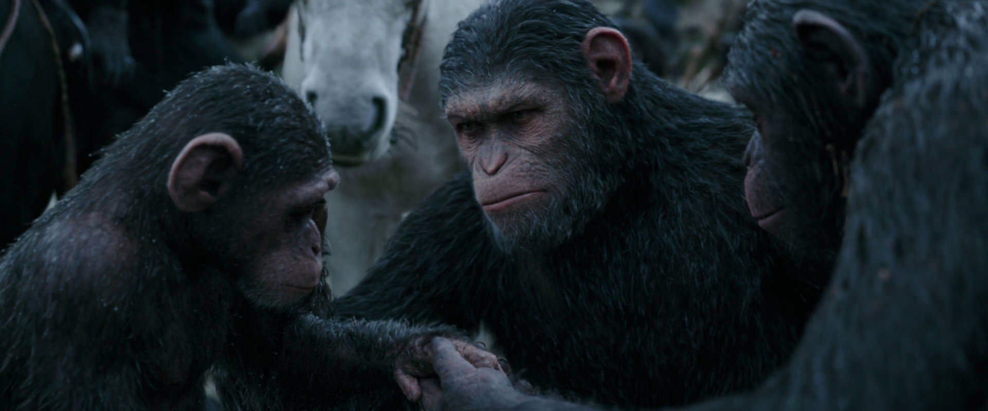 War for the Planet of the Apes (2017) screencap 2868