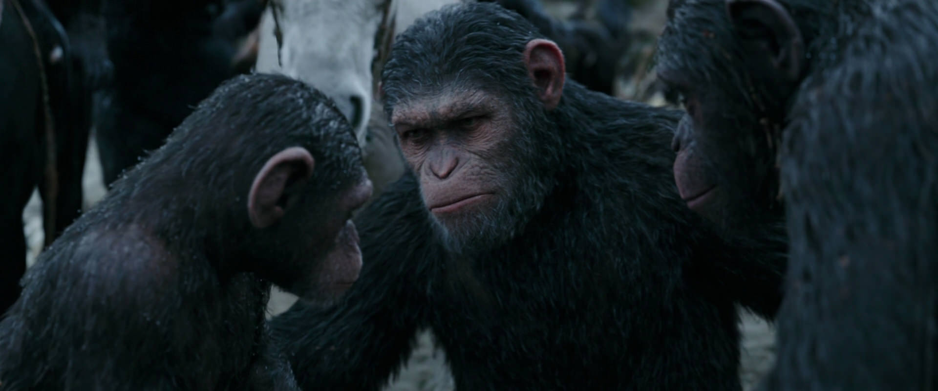 War for the Planet of the Apes (2017) HD screenshot 2870