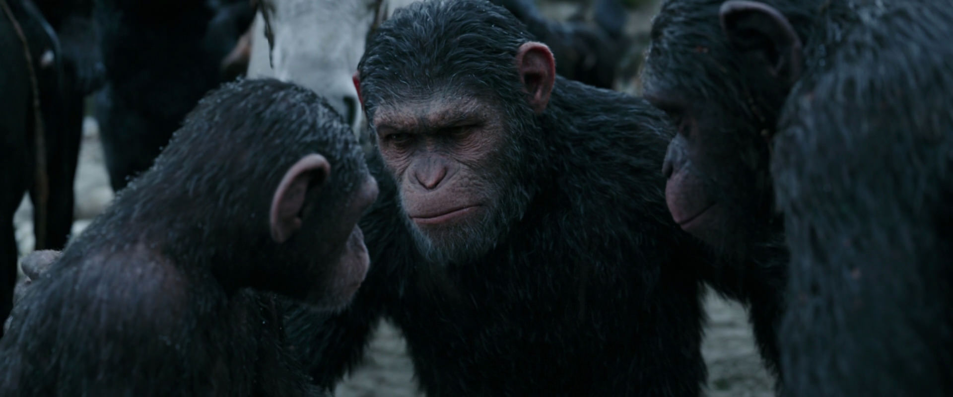 War for the Planet of the Apes (2017) screencap 2871