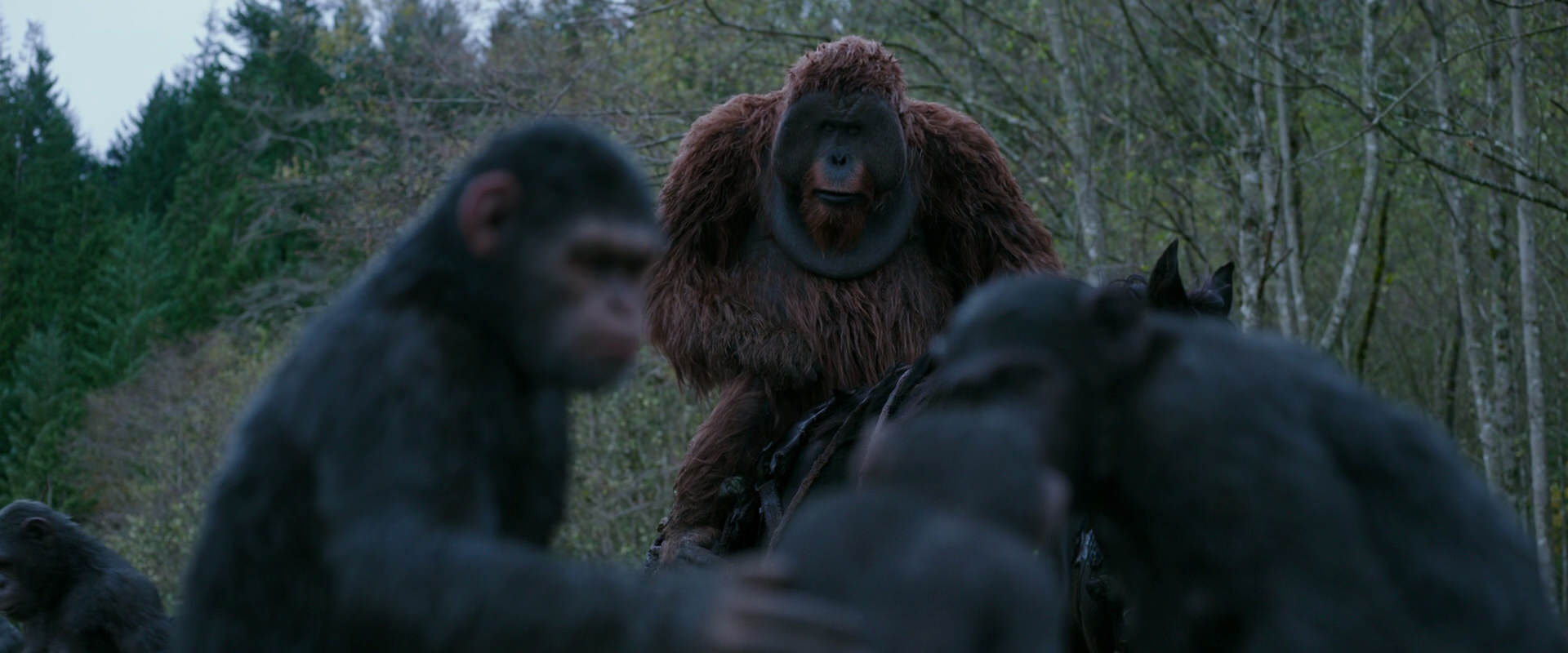 War for the Planet of the Apes (2017) HD screenshot 2873