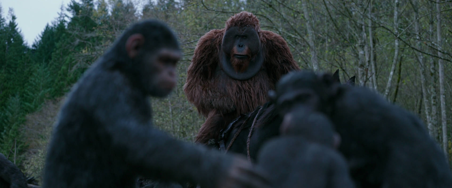 War for the Planet of the Apes (2017) screencap 2874