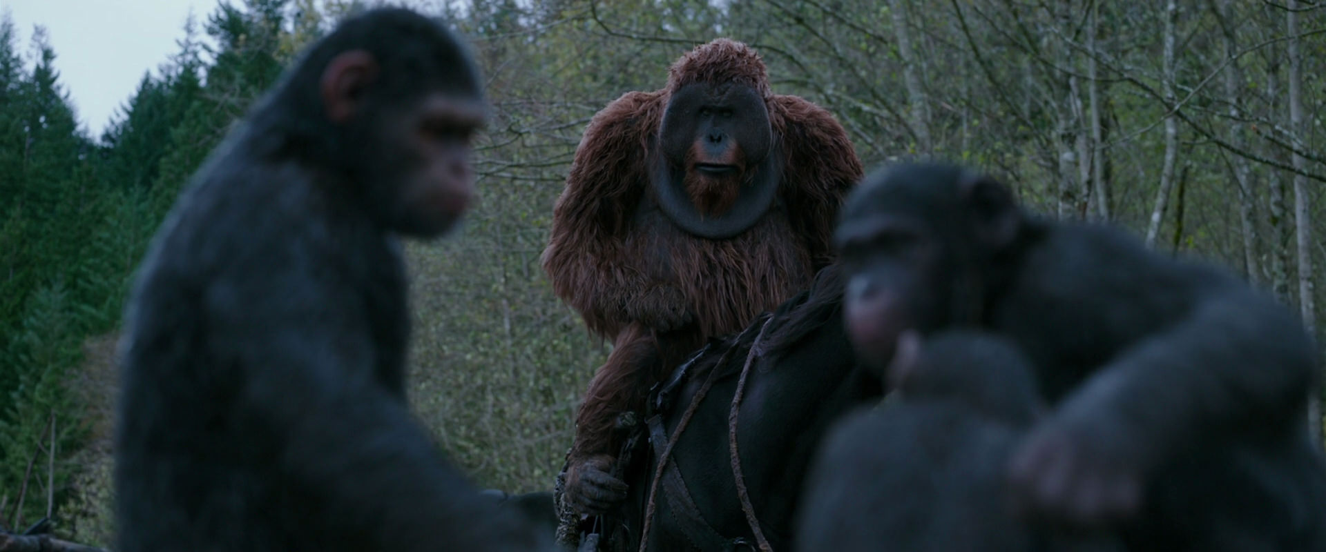 War for the Planet of the Apes (2017) movie still 2875