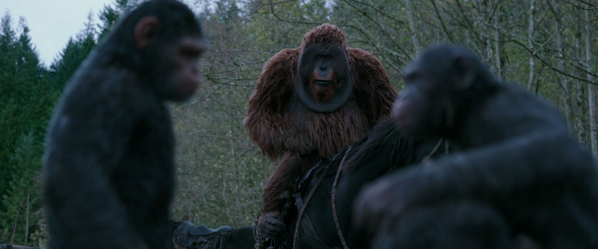 War for the Planet of the Apes (2017) HD screenshot 2876