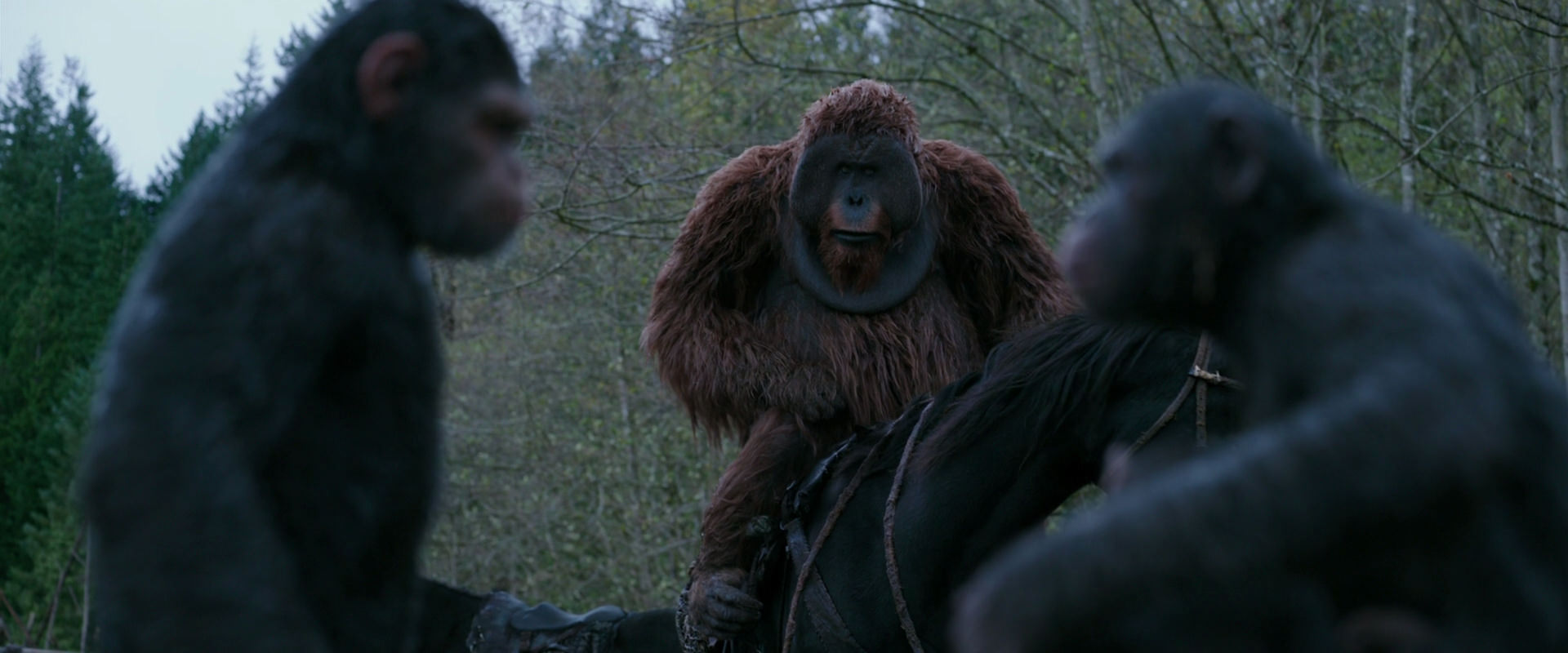 War for the Planet of the Apes (2017) screencap 2877