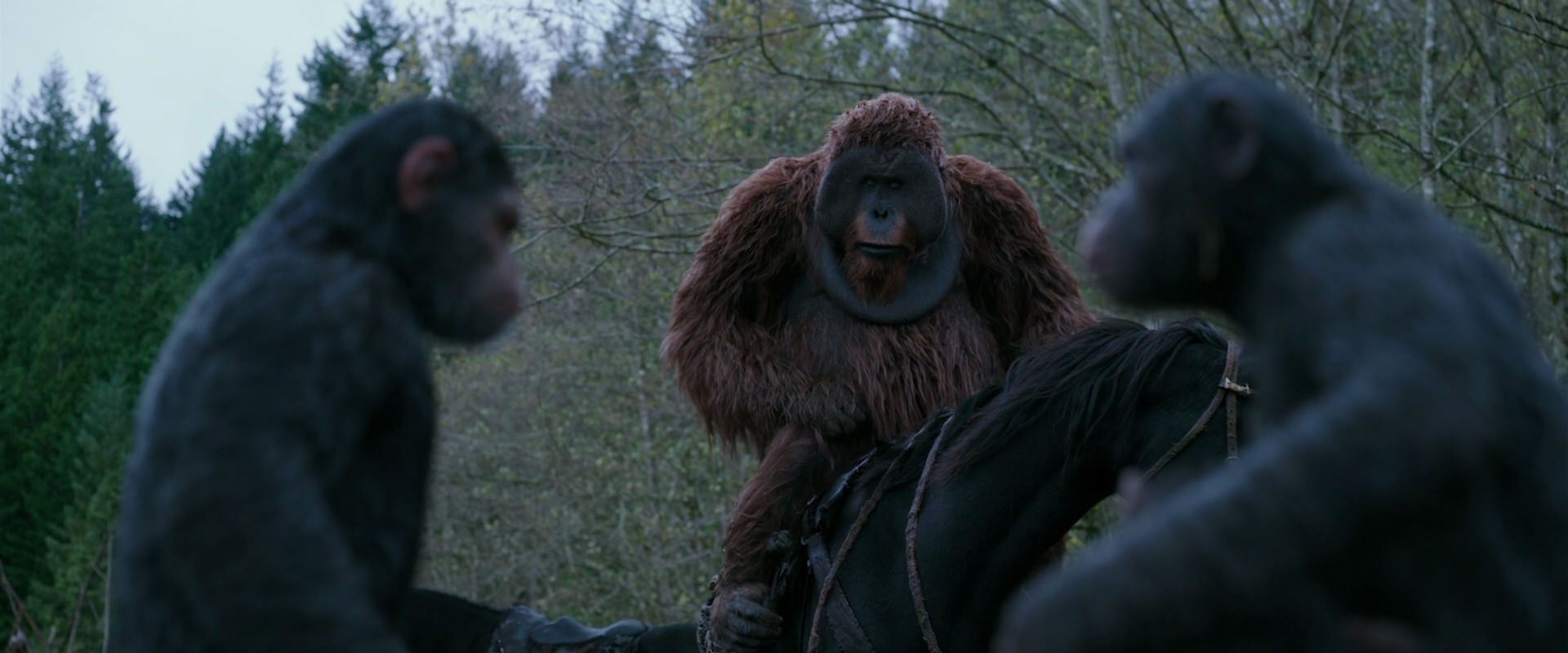 War for the Planet of the Apes (2017) movie still 2878