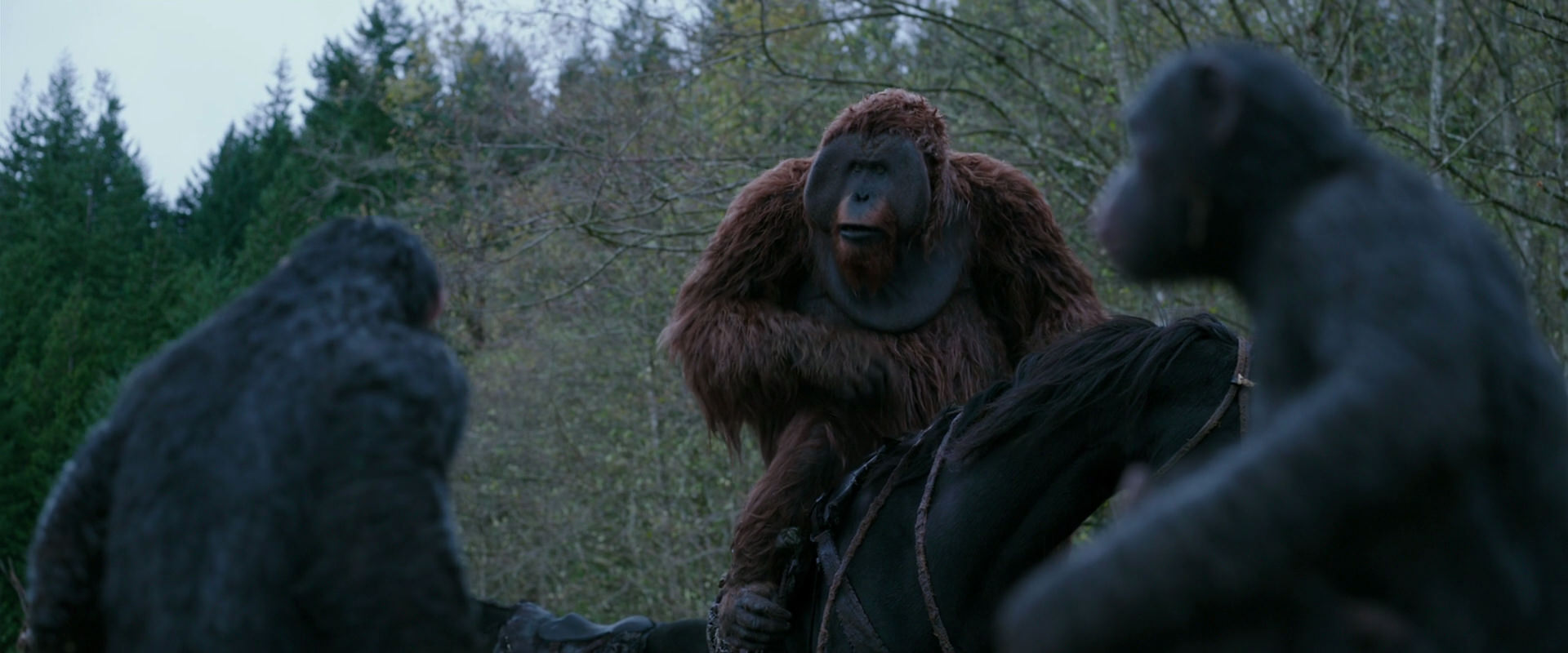 War for the Planet of the Apes (2017) HD screenshot 2879