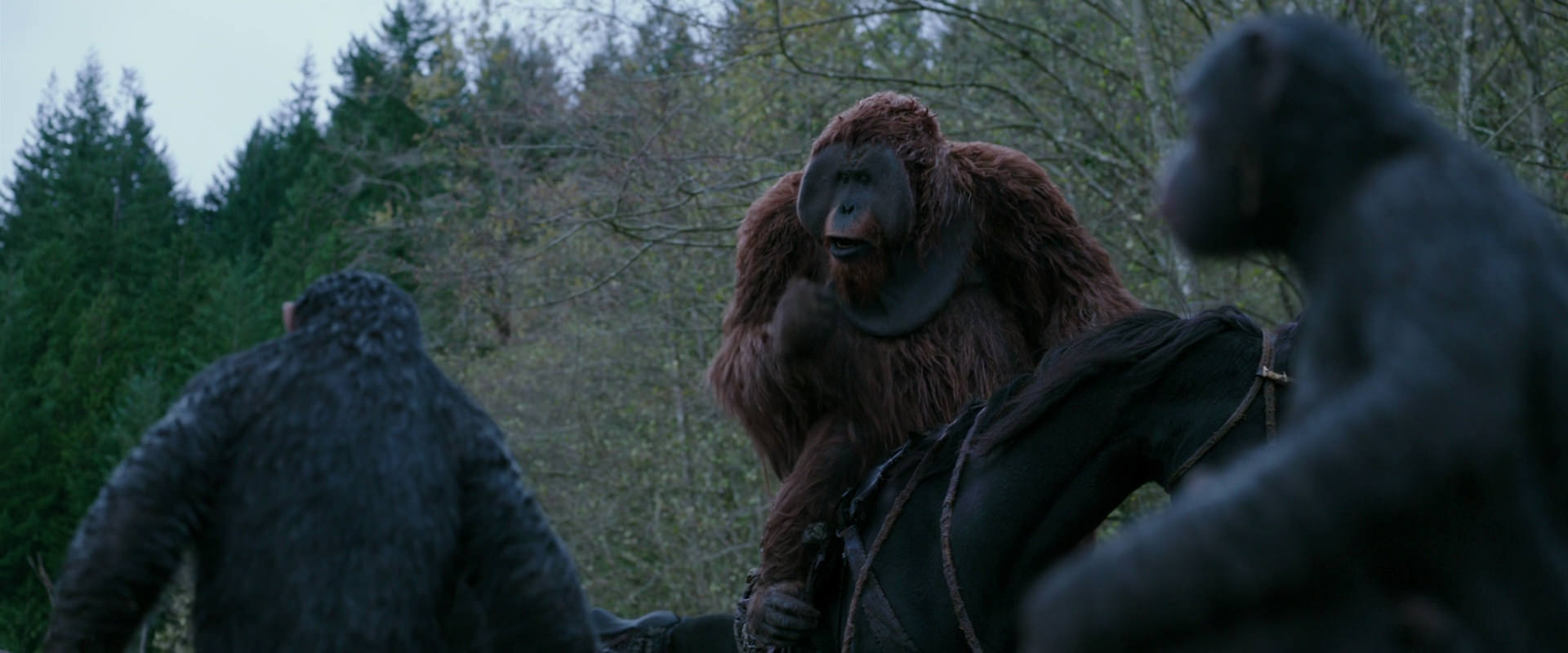 War for the Planet of the Apes (2017) screencap 2880