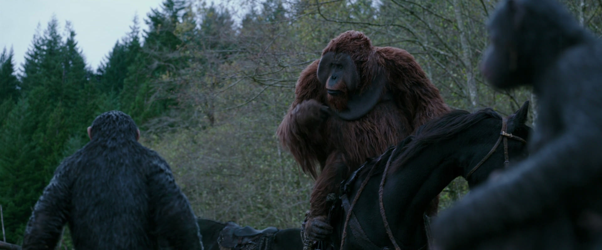 War for the Planet of the Apes (2017) movie still 2881