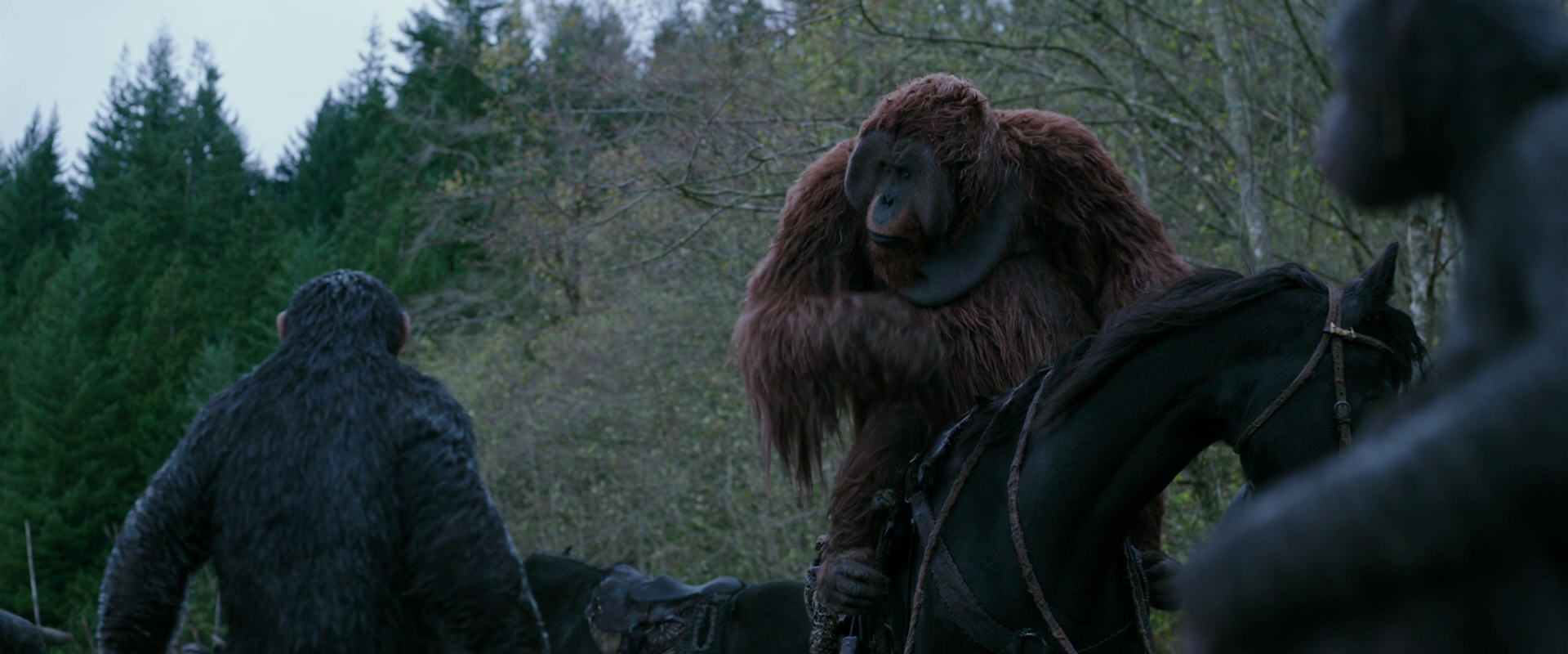 War for the Planet of the Apes (2017) HD screenshot 2882