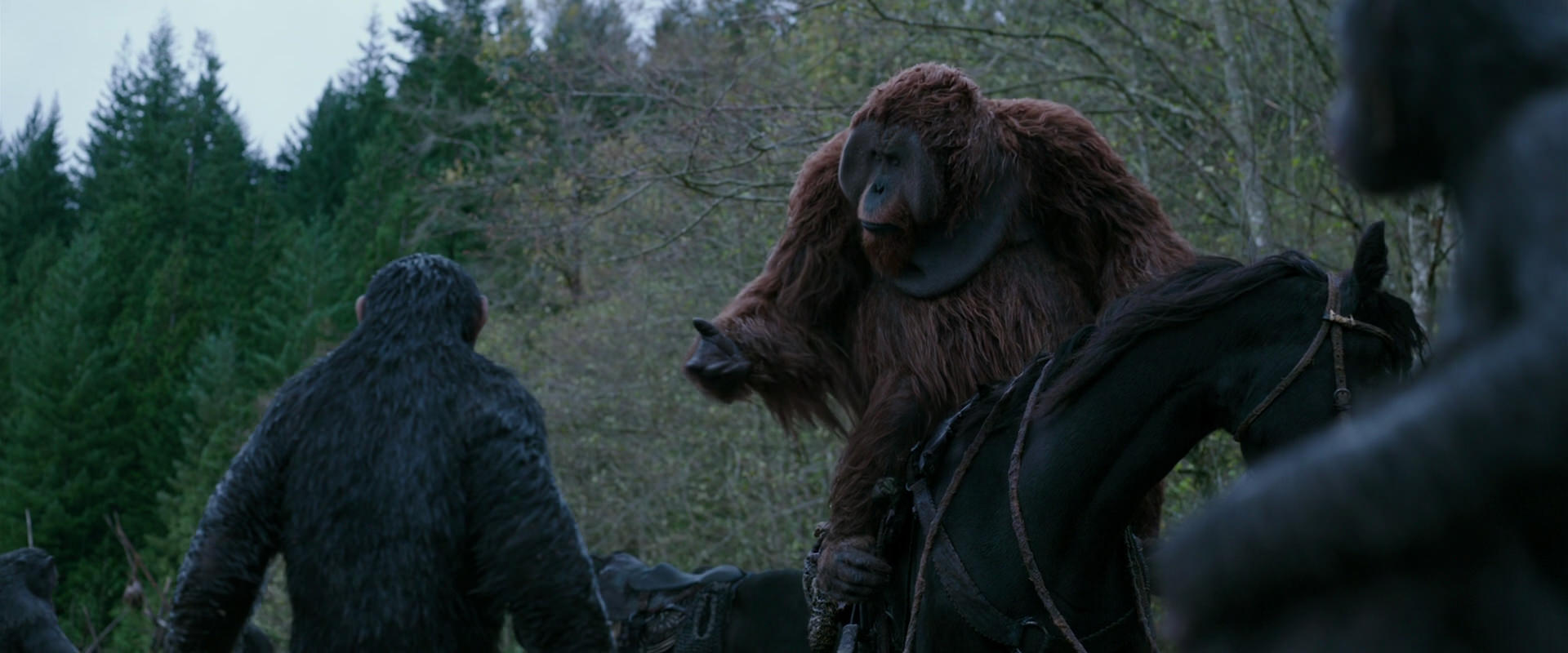 War for the Planet of the Apes (2017) screencap 2883