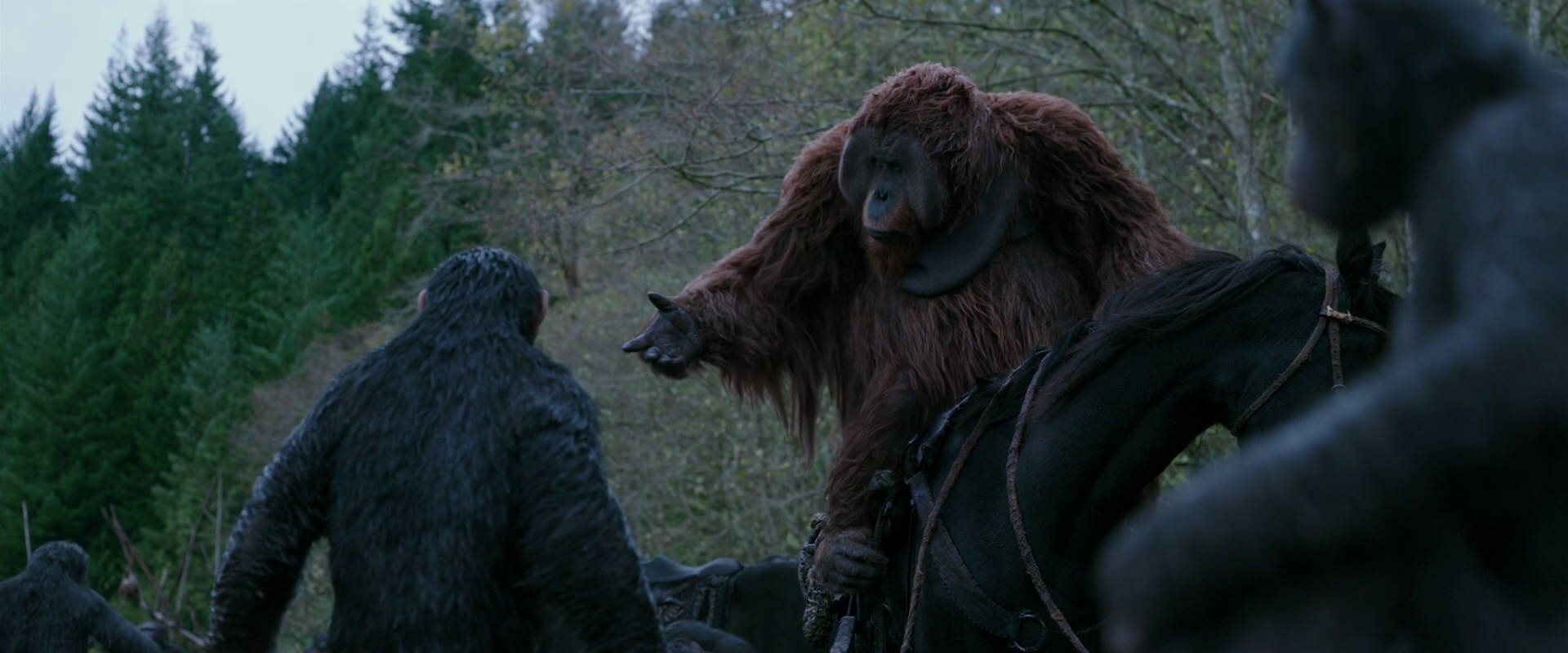 War for the Planet of the Apes (2017) movie still 2884