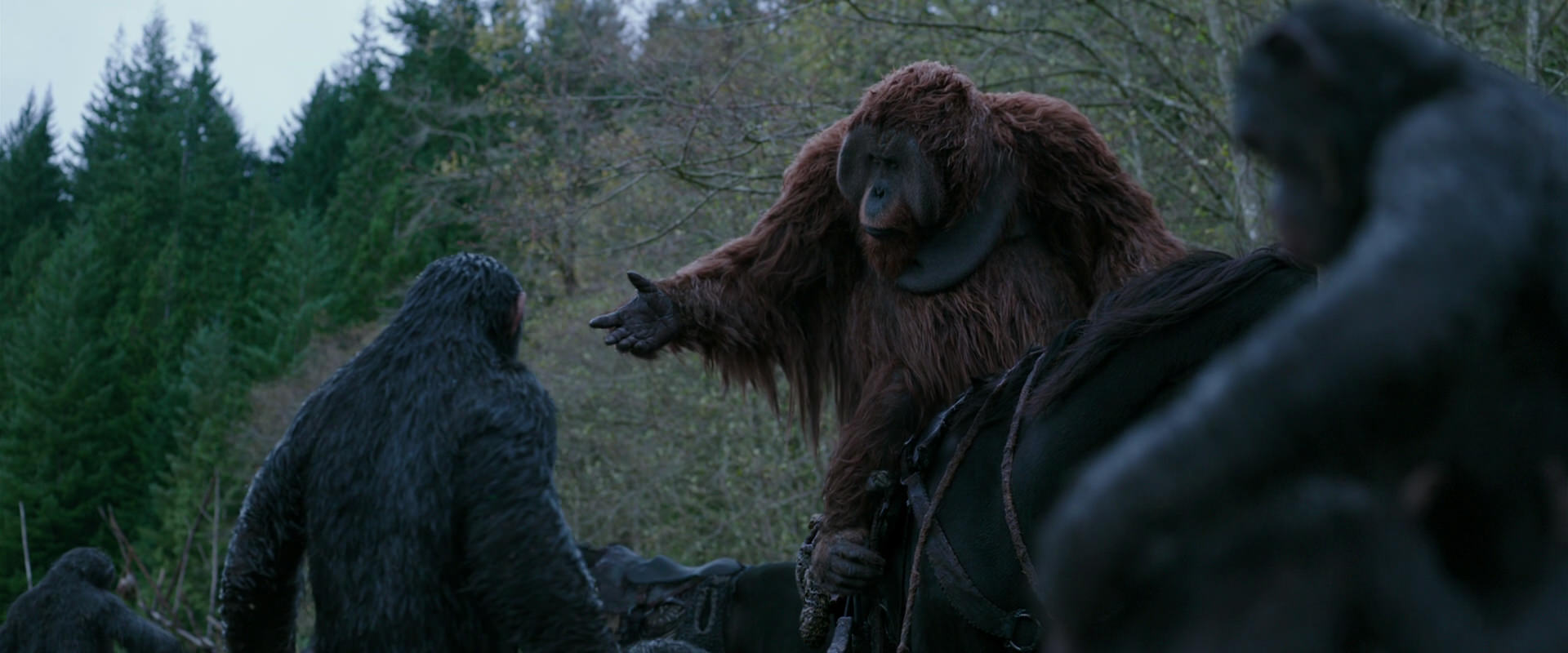 War for the Planet of the Apes (2017) HD screenshot 2885