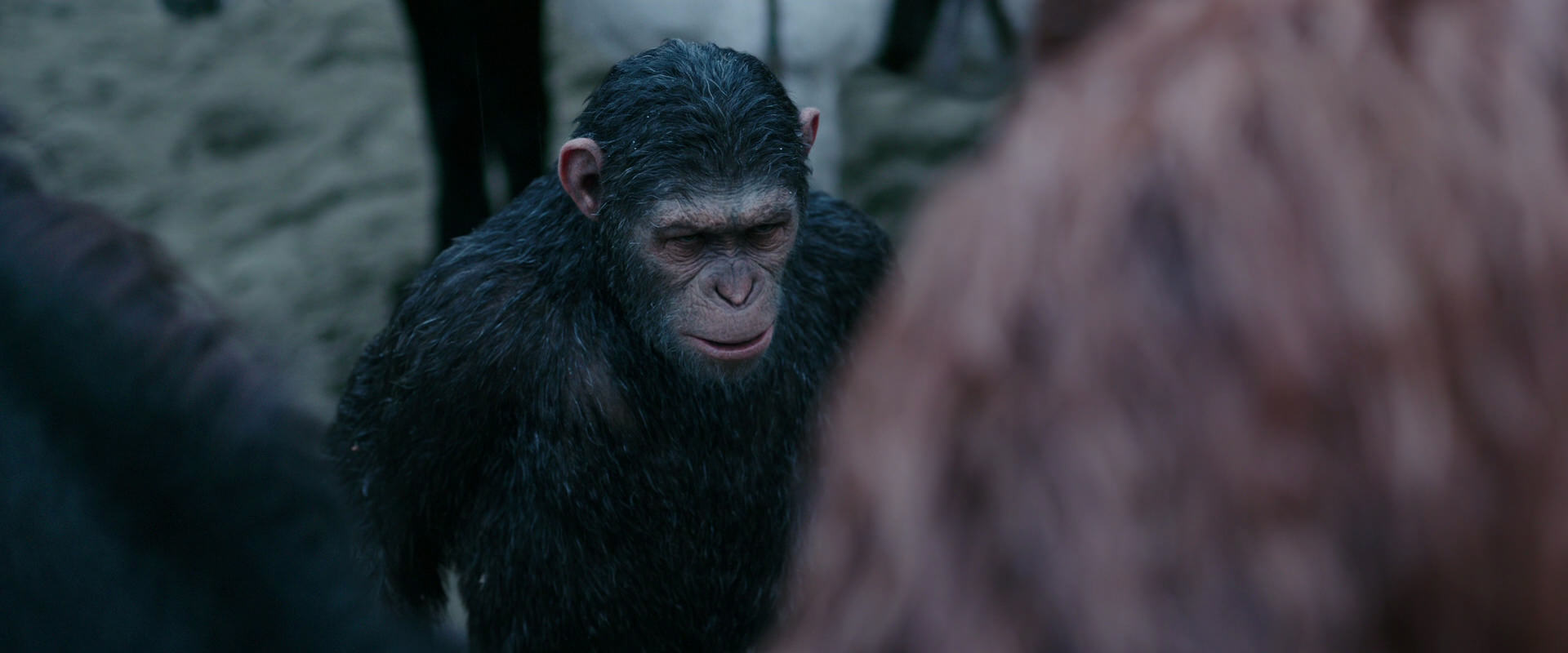 War for the Planet of the Apes (2017) HD screenshot 2888