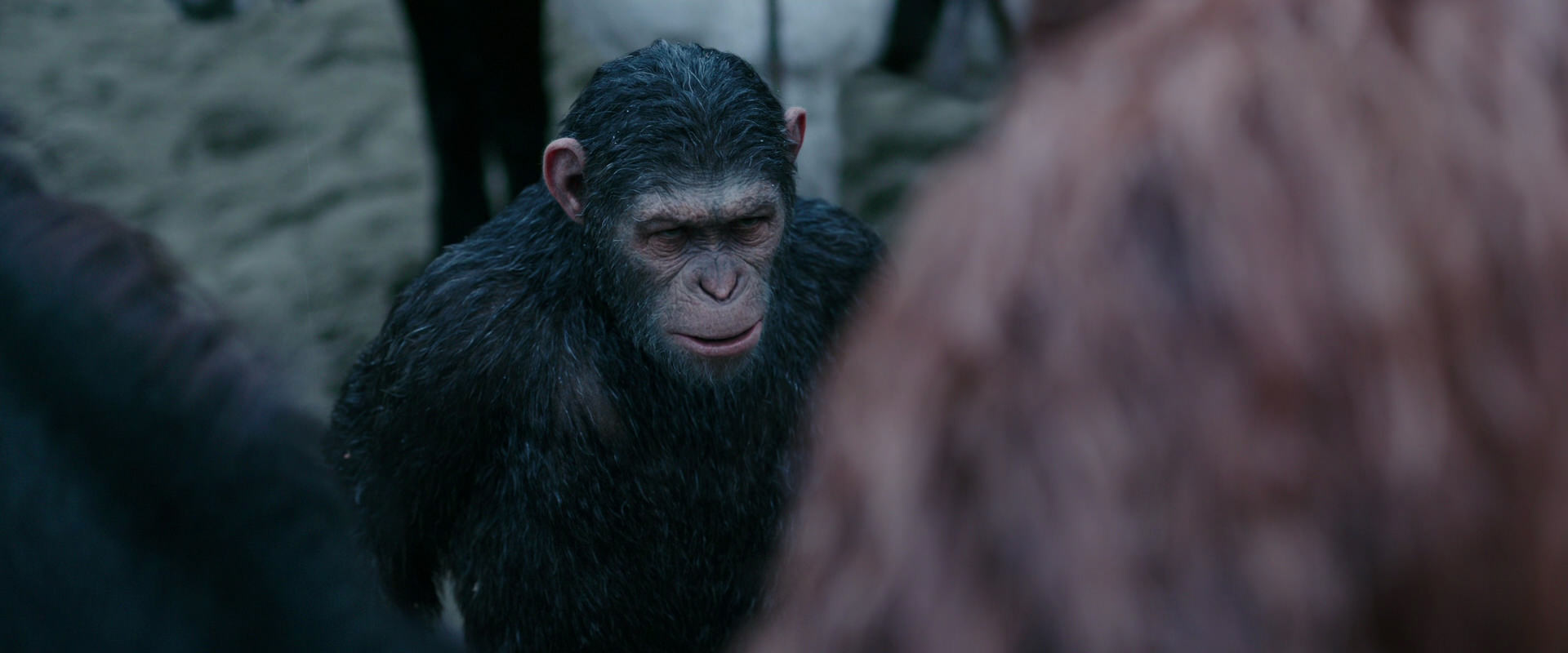 War for the Planet of the Apes (2017) screencap 2889