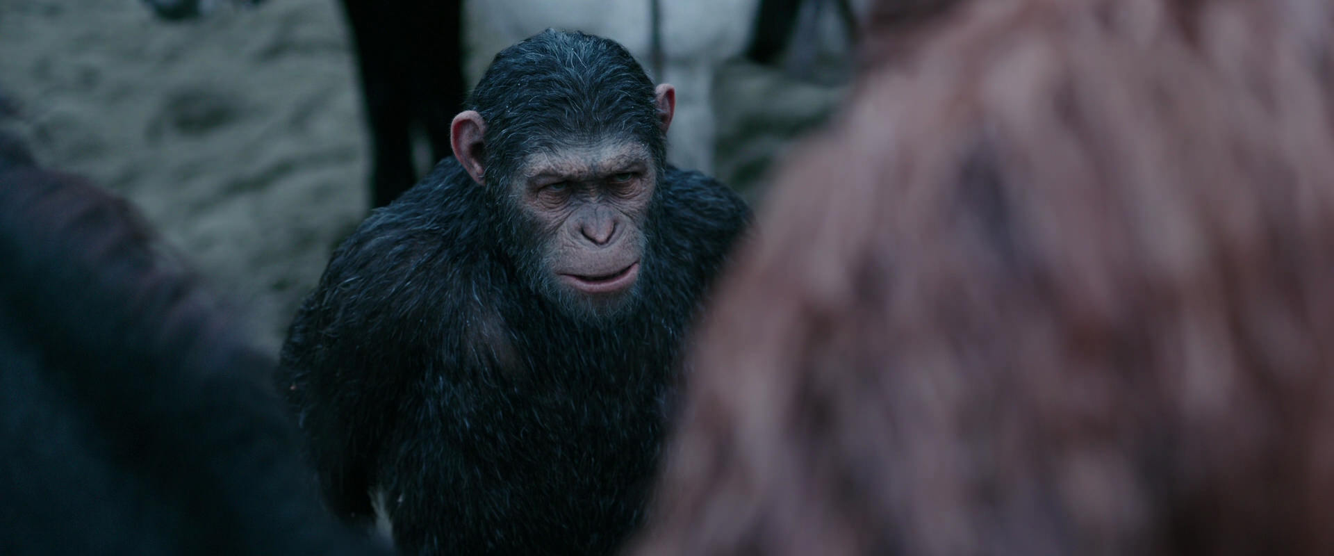 War for the Planet of the Apes (2017) movie still 2890