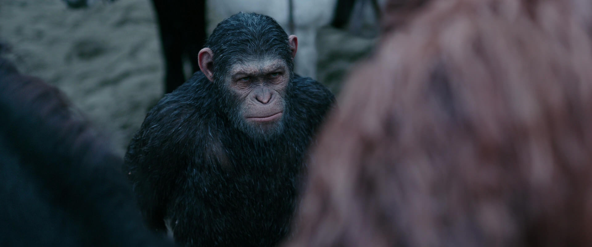 War for the Planet of the Apes (2017) HD screenshot 2891