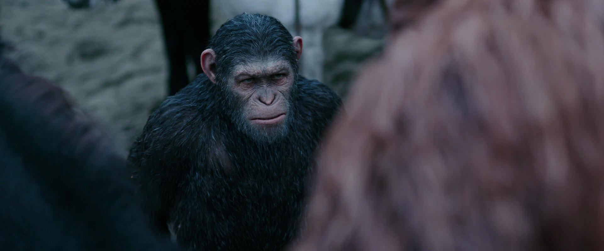 War for the Planet of the Apes (2017) screencap 2892