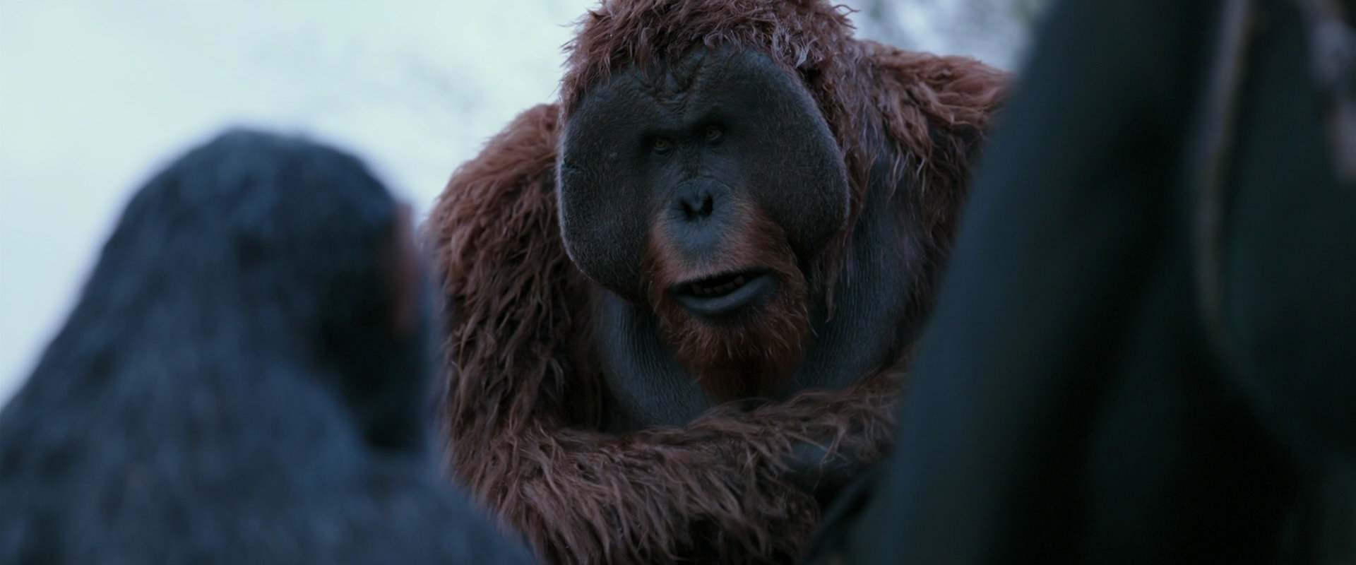 War for the Planet of the Apes (2017) screencap 2895