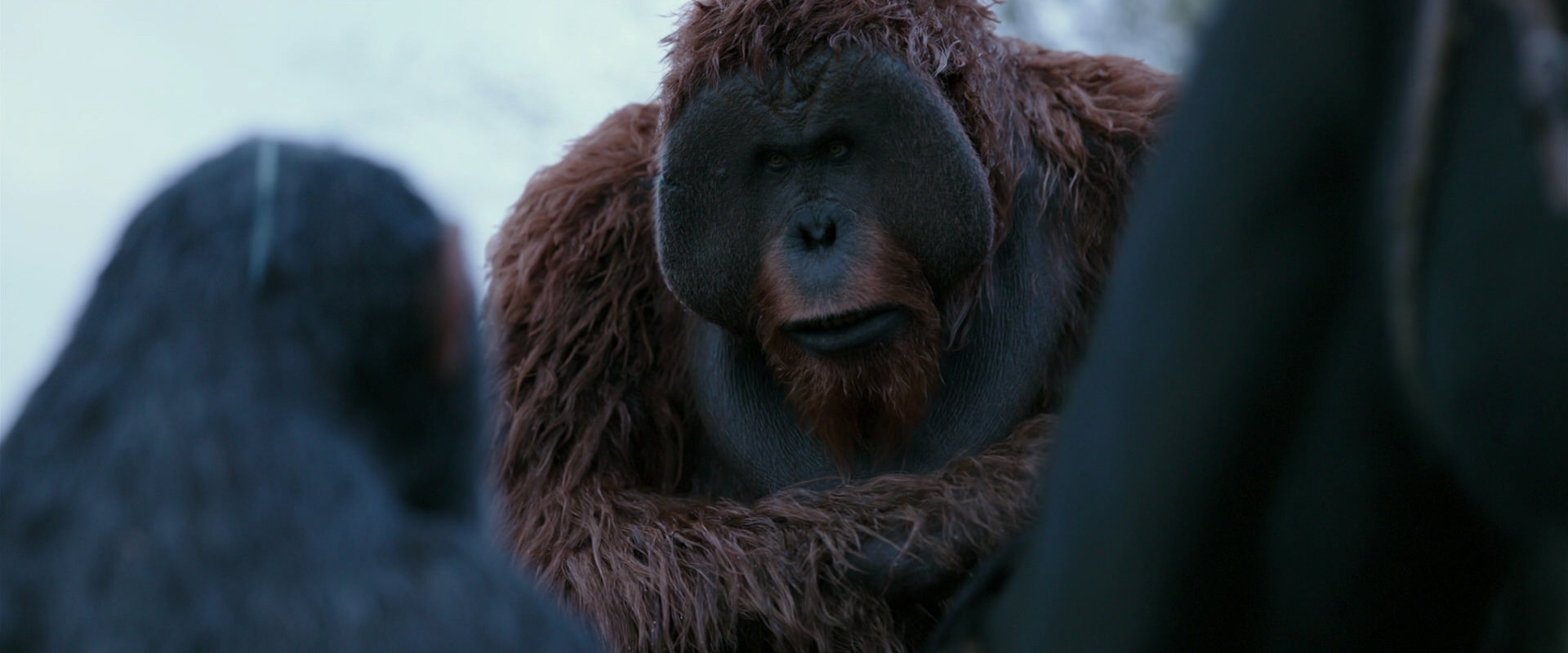 War for the Planet of the Apes (2017) movie still 2896