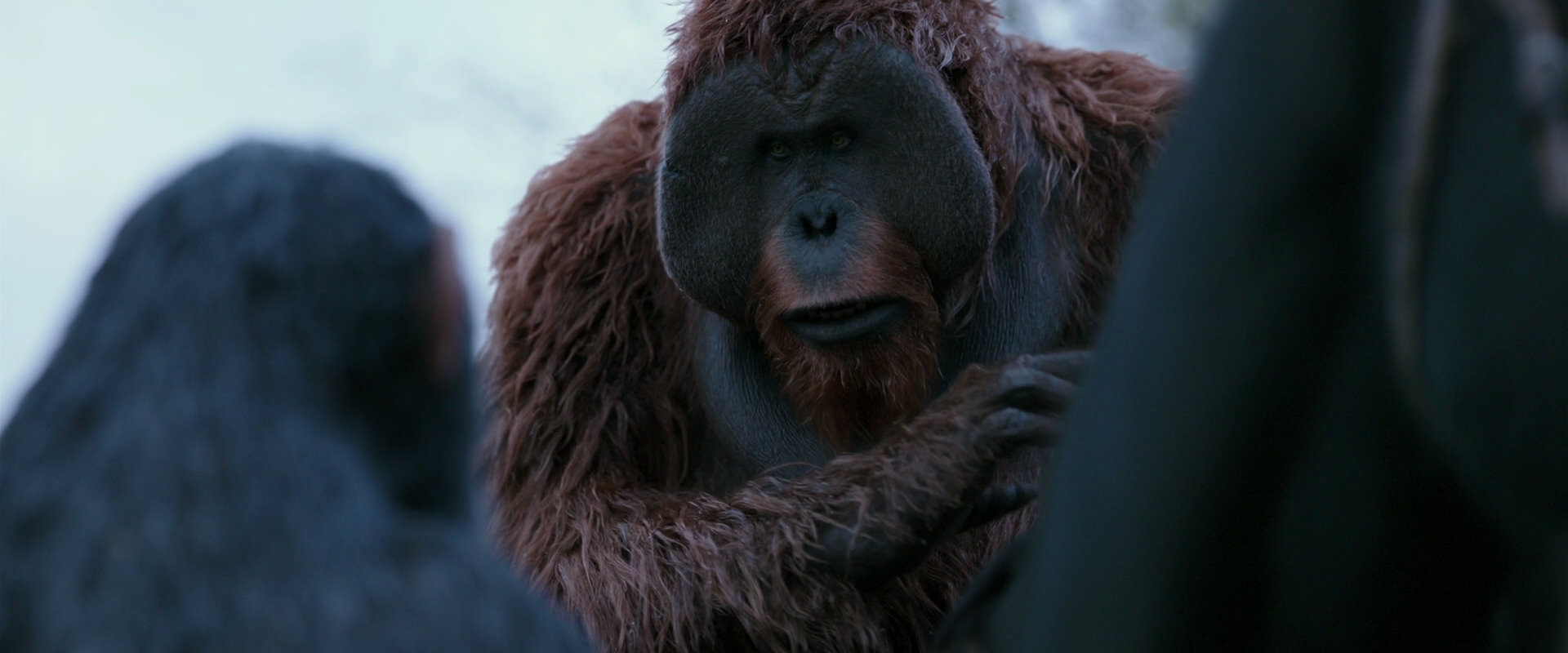 War for the Planet of the Apes (2017) HD screenshot 2897