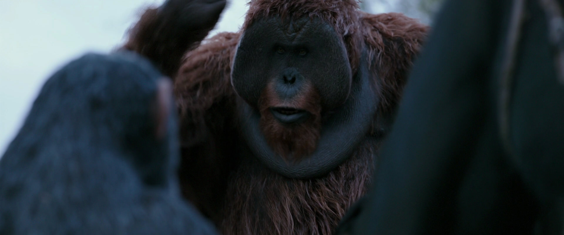War for the Planet of the Apes (2017) screencap 2898