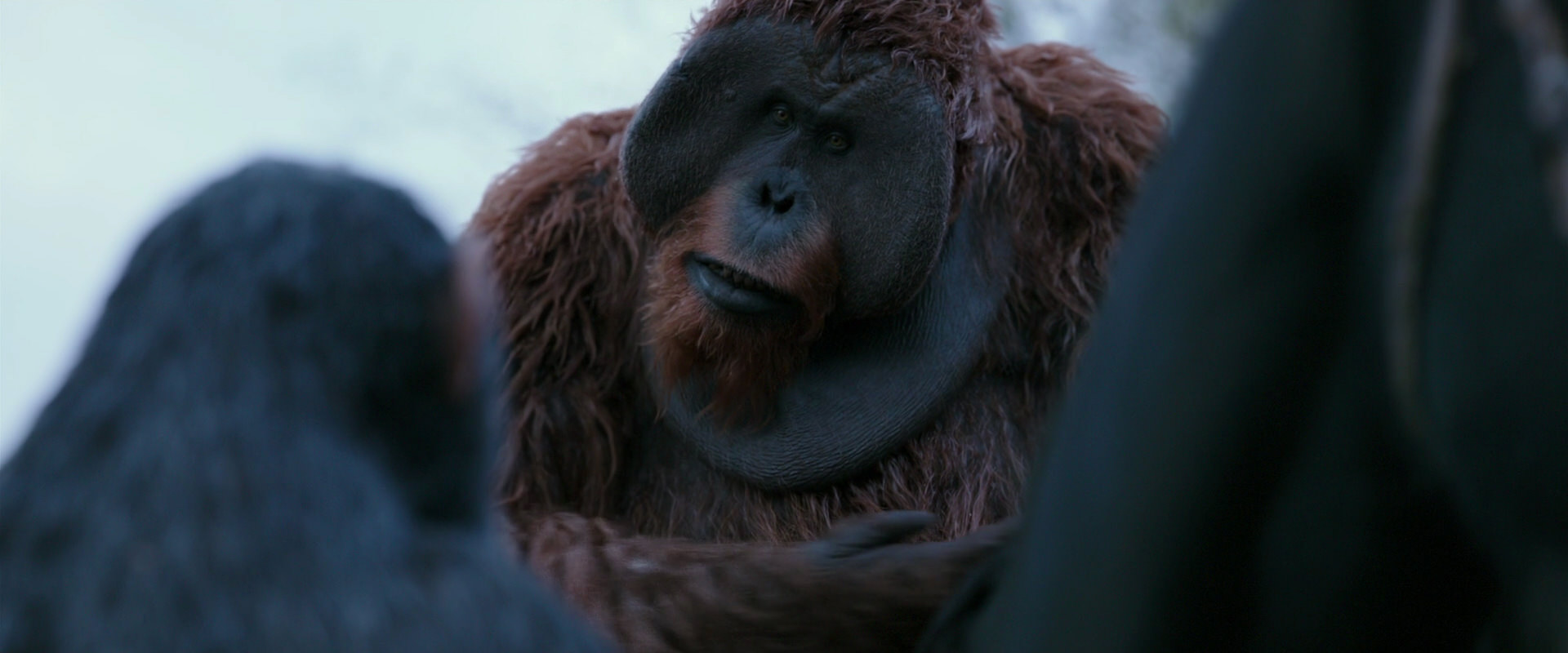 War for the Planet of the Apes (2017) movie still 2899