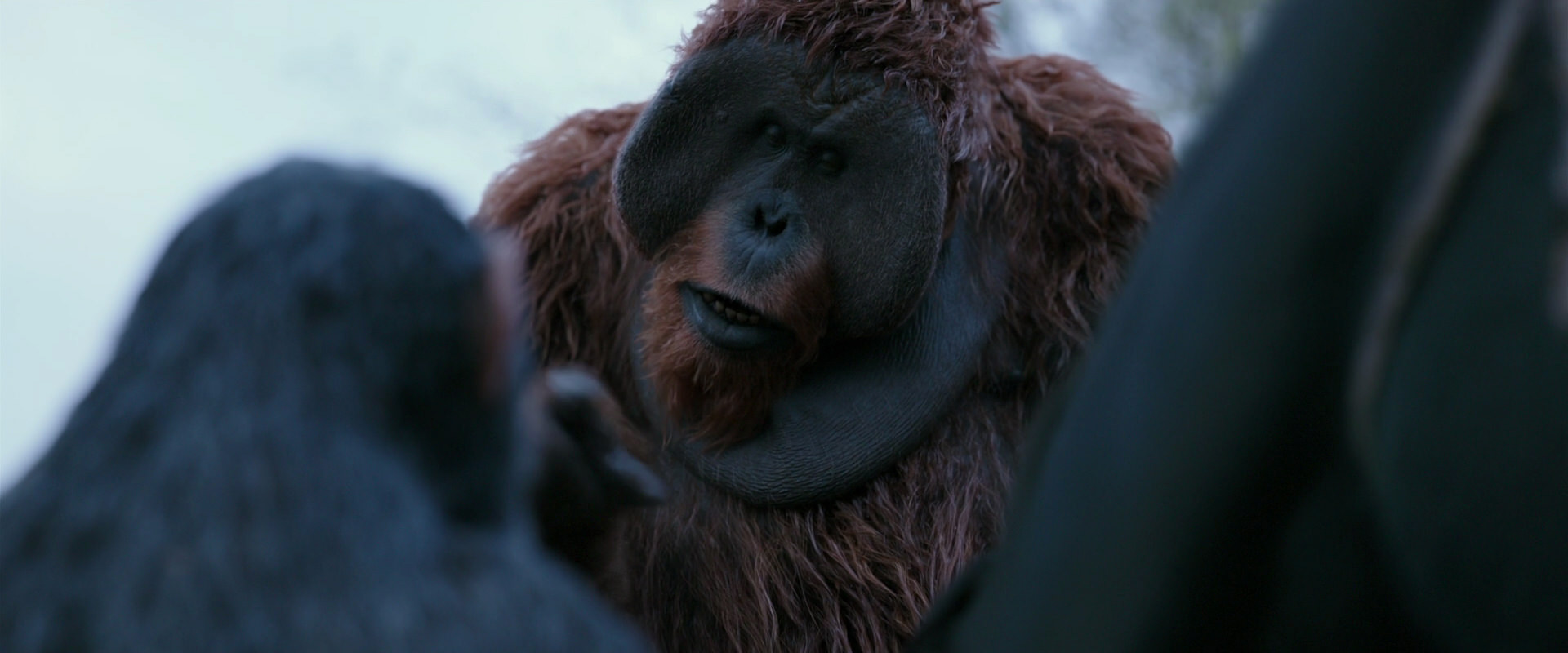 War for the Planet of the Apes (2017) HD screenshot 2900