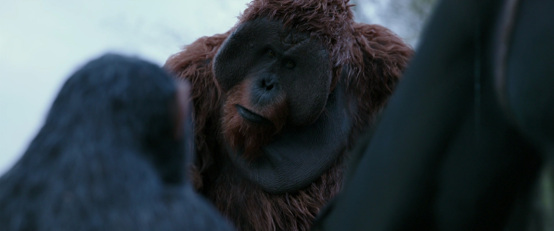 War for the Planet of the Apes (2017) screencap 2901