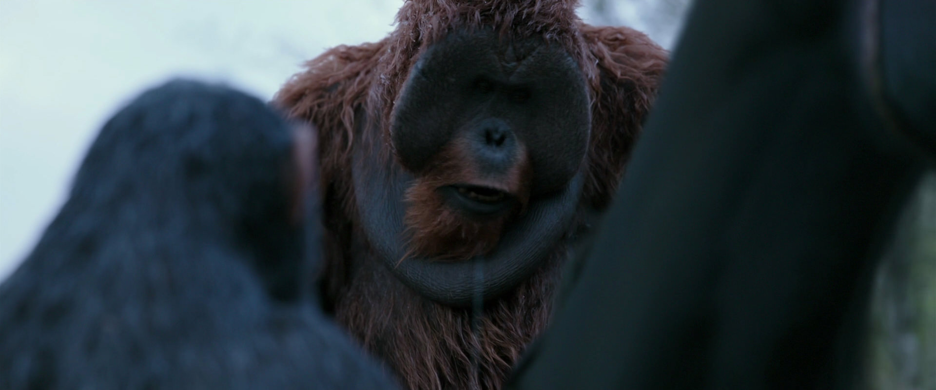 War for the Planet of the Apes (2017) HD screenshot 2903