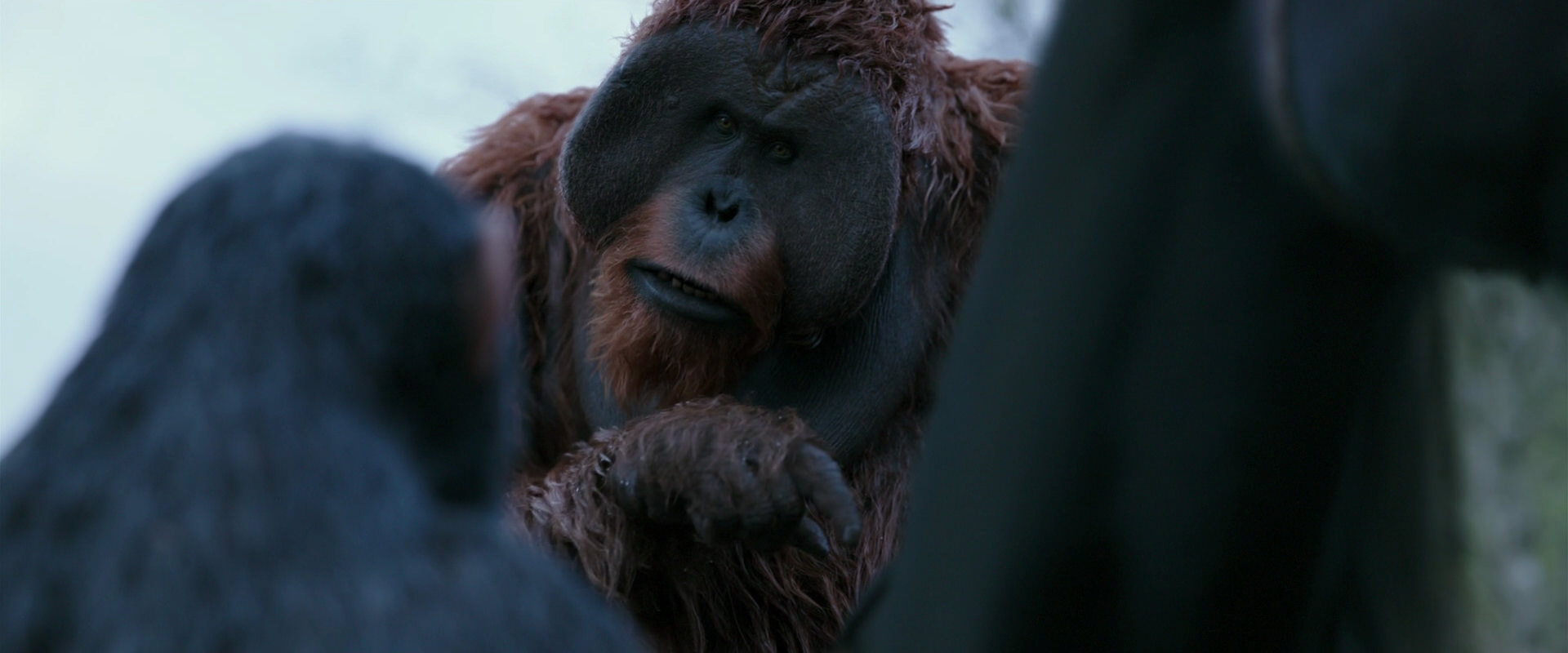 War for the Planet of the Apes (2017) screencap 2904