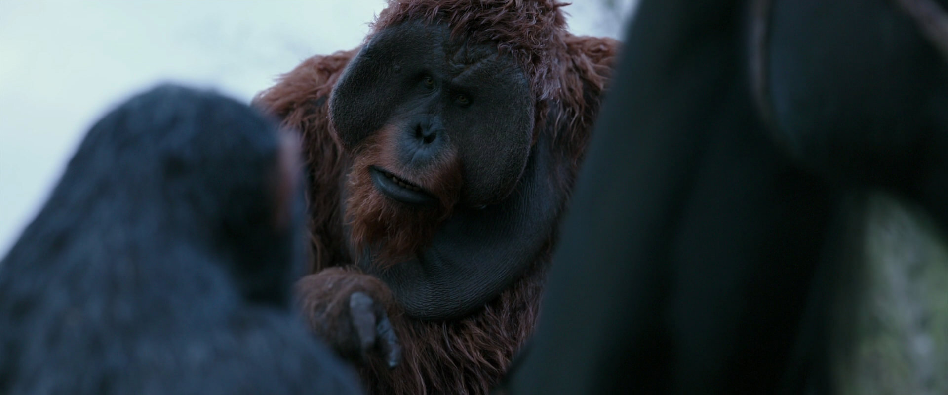 War for the Planet of the Apes (2017) movie still 2905
